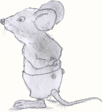 souris